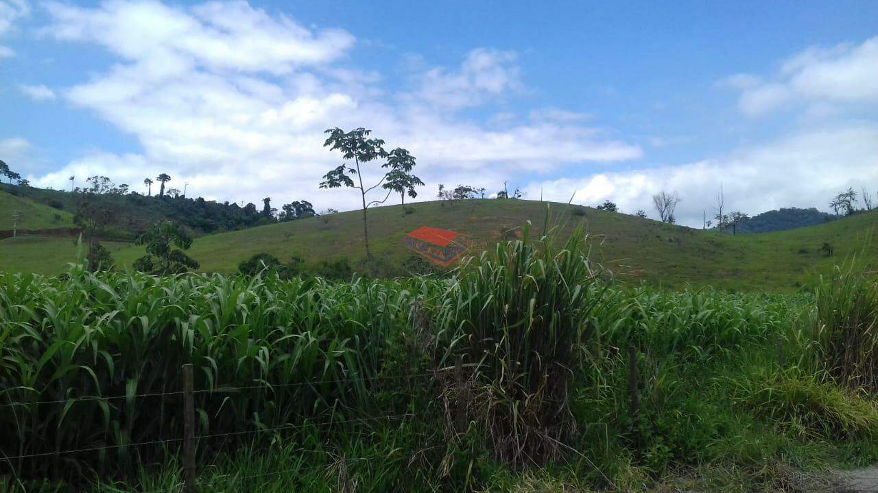 Chácara à venda com 1 quarto, 1000m² - Foto 4